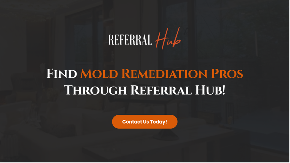 Find Mold Remediation Pros