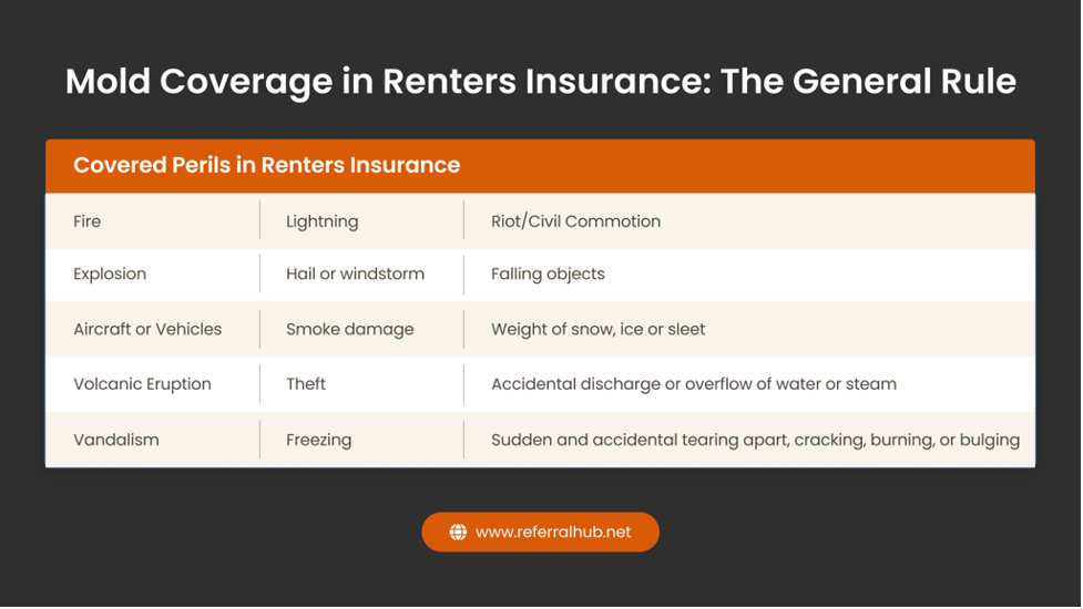 Mold Coverage in Renters Insurance