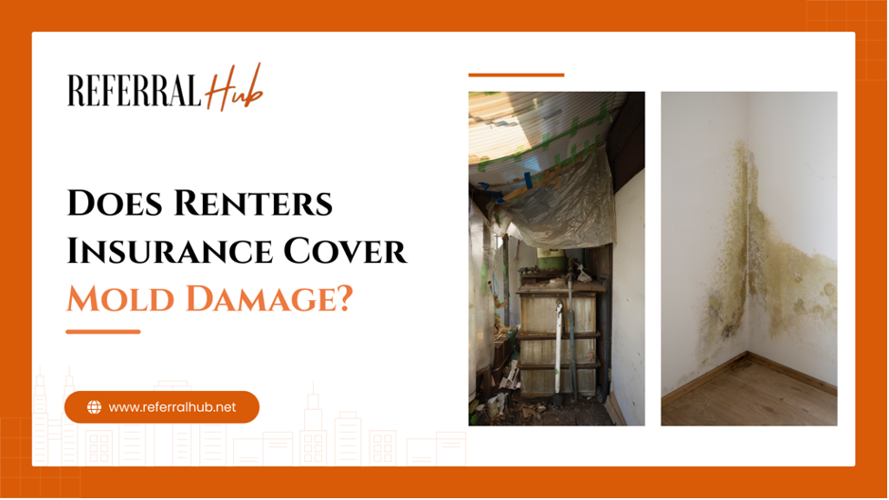 Renters Insurance Cover Mold Damage