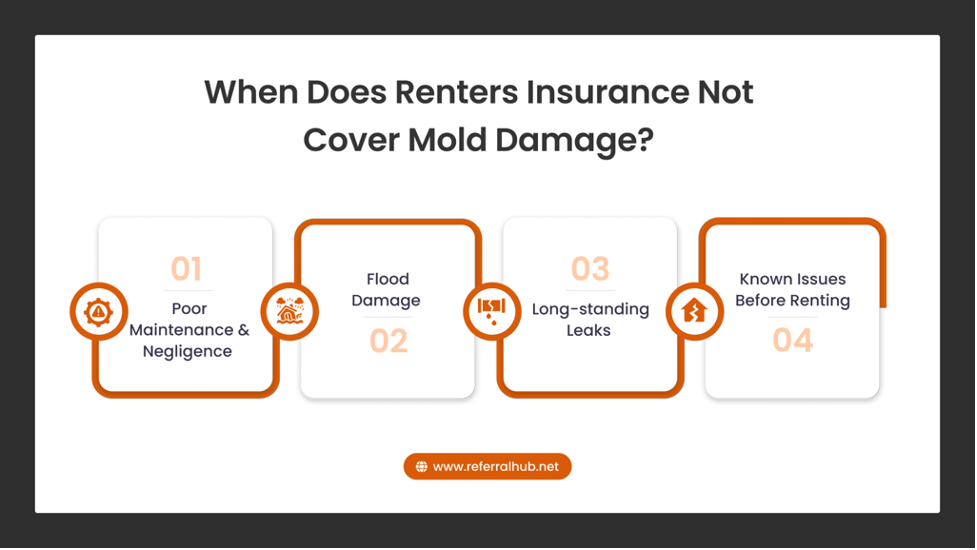 When Does Renters Insurance Not Cover Mold Damage