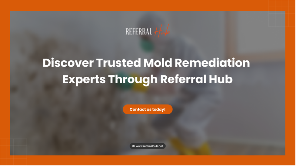 Mold Remediation Experts Through Referral Hub